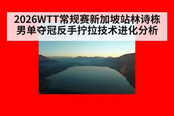 2026WTT常规赛新加坡站林诗栋男单夺冠反手拧拉技术进化分析