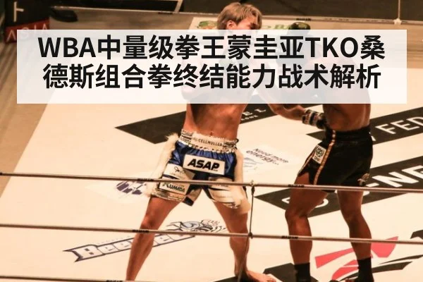 WBA中量级拳王蒙圭亚TKO桑德斯组合拳终结能力战术解析
