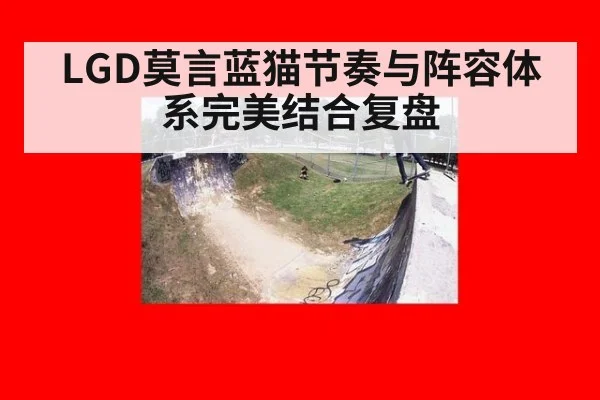 LGD莫言蓝猫节奏与阵容体系完美结合复盘
