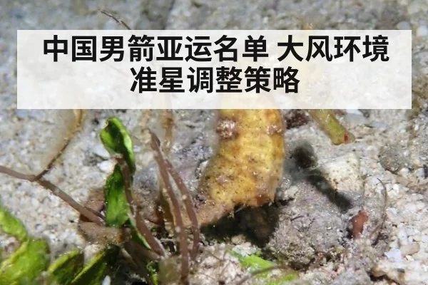 中国男箭亚运名单 大风环境准星调整策略