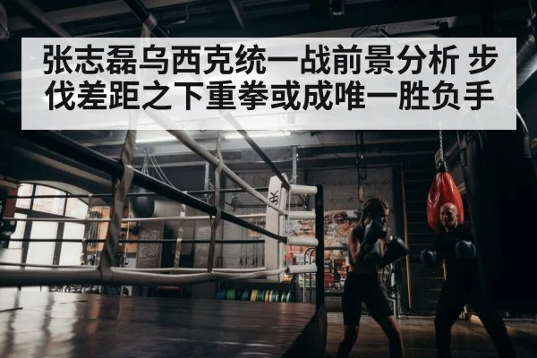 boxer training