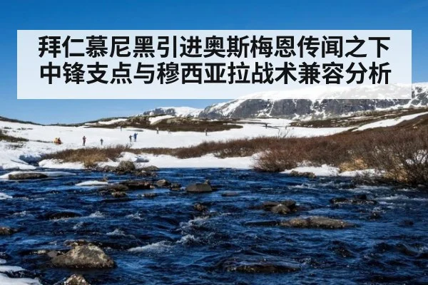 拜仁慕尼黑引进奥斯梅恩传闻之下中锋支点与穆西亚拉战术兼容分析